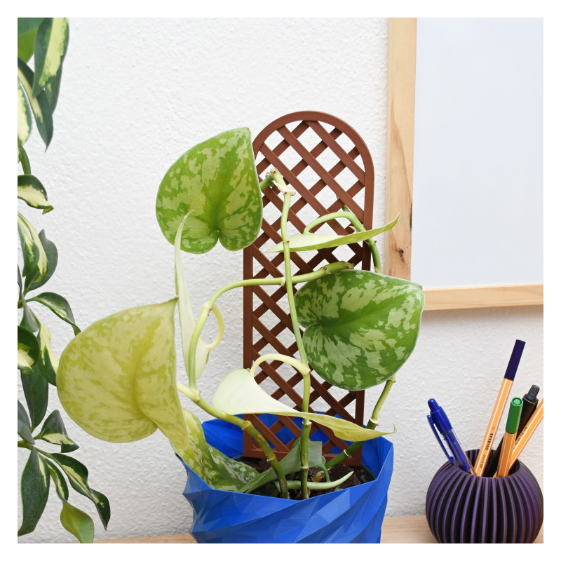 Plant trellis - LATTICE