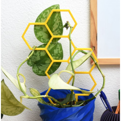 Plant trellis HEXAGON